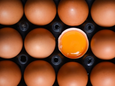 Les œufs ? On en fait tout un plat !