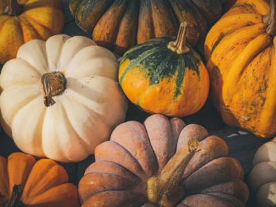 Courges : à la découverte des stars de l’automne !